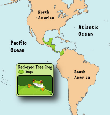 Lisa's Tree Frog Page | Dutchess BOCES