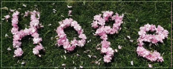 [PIC] Flower Petals Arranged On A Lawn To Spell The Word 'Hope'